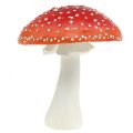 Floristik24 Deko Fliegenpilz Rot, Weiß Tischdeko Herbst Pilz Ø16cm H19cm