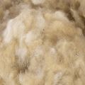 Schafwolle Beige 250g lose für Basteln und Dekoration | Floristik24.ch