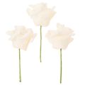 Künstliche Rose cremefarbig 10 cm Blüte auf Drahtstiel 100 Stück | Floristik24.ch