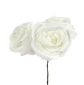 Floristik24 Foam Rose Weiß mit Perlmutt Ø7,5cm 12St