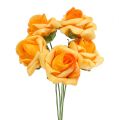 Floristik24 Foam Rose Ø4,5cm apricot 36St