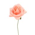 Floristik24 Foam Rose Ø4,5cm Lachs 36St