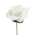 Foam Rose Ø 3,5cm weiß 48St | Floristik24.ch