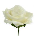 Foam-Rose Ø6cm Creme 27St | Floristik24.ch
