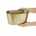 Deko-Schale Metall oval 24×13×12,5cm Gold mit Tannenbaum-Motiv für Weihnachten und Innenbereich | Floristik24.ch