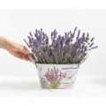 Blumenschale oval Metall mit Griffen Lavendel-Motiv 26×13×14,5cm | Floristik24.ch