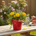 Deko Eimer aus Metall Rot Ø22cm H21,5cm 6L - Blumentopf oder Übertopf | Floristik24.ch