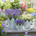 Blumentopf-Set Zink Krone, 3 Grössen: Ø21,5/19,5/17cm, Metall silber-schwarz | Floristik24.ch