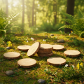 Mini Holz-Baumscheiben mit Rinde 8-9 cm Ø, Natur, Set mit 9 Stück | Floristik24.ch