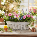 Korb Pflanzkorb Weide mit Folieneinsatz oval Weiss 37cm | Floristik24.ch