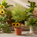 Künstlicher Ruscus Zweig Grün 41 cm Kunststoff für Floristik und Wohndekoration | Floristik24.ch