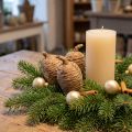 Zedernzapfen Naturdeko 9-10,5 cm 3 Stück | Floristik24.ch