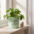 Blumentopf Metall Mintgrün Landhaus Ø17cm H15,5cm für Innen- und Aussenbereiche | Floristik24.ch