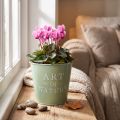 Blumentopf Zink mintgrün Ø15cm H13,5cm mit Aufschrift „Art of Nature“ für Innen- und Aussenbereiche | Floristik24.ch
