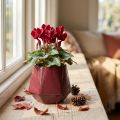 Keramik Blumentopf Rot Sechseckig Ø10cm H9cm | Floristik24.ch