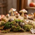 Deko-Pilze aus Kunststoff zum Stecken Braun 3,5/5,5cm 16er-Set für Herbstdekoration | Floristik24.ch