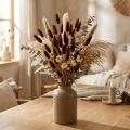 Lagurus Samtgras Braun 35–50cm 25g Trockenblumen-Deko | Floristik24.ch