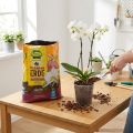 FRUX Orchideenerde mit Pinienrinde 5 Liter – Pflanzenpflege für Orchideen | Floristik24.ch