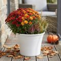 Plastik Blumentopf Weiss Ø29cm H24cm für Innen- und Aussenbereich | Floristik24.ch