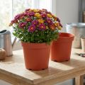 Pflanztopf Kunststoff Ø21cm Terrakotta 10 Stück | Floristik24.ch