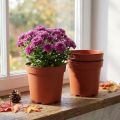 Pflanztopf Kunststoff Ø17cm Terrakotta 10er-Set | Floristik24.ch