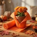 Floristen-Krepppapier aus Papier Orange 50x250cm für Bastel- und Dekorationsanwendungen | Floristik24.ch