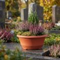 Pflanzschale aus Plastik Ø20 cm Terrakotta 5 Stück | Floristik24.ch