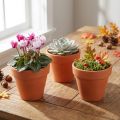 Blumentöpfe aus Ton Ø6cm H5cm Terrakotta 10 Stück | Floristik24.ch