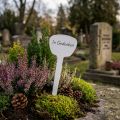 Pflanzensteckschild Kunststoff Weiss 16 cm 10 Stück | Floristik24.ch