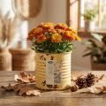Deko Metalldose Apricot Ø8cm Höhe 7,5cm Pflanztopf Innenbereich | Floristik24.ch