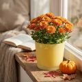 Glas Blumentopf Gelb Ø14,5 cm H12,5 cm | Floristik24.ch