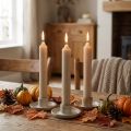 Stabkerzen aus Wachs Ø21/110mm Hellbraun 6er-Pack für Herbstdeko und Gestecke | Floristik24.ch
