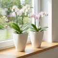 Orchideentopf Kunststoff Weiss 16,5cm – Set mit 2 Stück | Floristik24.ch