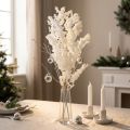 Konservierter Federspargel Asparagus Weiss 55-70cm 100g Dekoration | Floristik24.ch