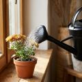 Gieskannenbrause Kunststoff Schwarz für 5-Liter-Gieskannen, Ø8 cm | Floristik24.ch