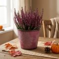 Pflanztopf aus Metall, Ø16,5cm H14,5cm, Weinrot mit Ahornblatt-Prägung, Herbstdeko | Floristik24.ch