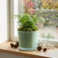 Glas Blumentopf Grün Matt Ø14,5cm H12,5cm für Zimmerpflanzen | Floristik24.ch