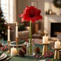Künstliche Amaryllis Rot 40cm Weihnachtsblume aus Kunststoff | Floristik24.ch