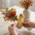 Raffiabast Naturfasern 50g – Vielseitiges Bindematerial für Kreativprojekte und Garten | Floristik24.ch
