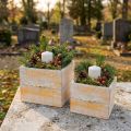 Pflanzkasten Holz Orange-Weiss mit Griff 12/15 cm 2er-Set für Innenbereich | Floristik24.ch