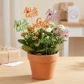 Glückwunsch Pflanzenstecker Holz 8 cm 6 Stück Orange Rosa Grün | Floristik24.ch