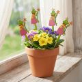 Blumenstecker Froschkönig Holzstecker 8 cm Grün Gelb Pink 12 Stück | Floristik24.ch