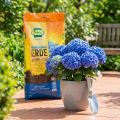 Hortensienerde für blaue Hortensien, Frux Spezialerde, 18 Liter, Kultursubstrat | Floristik24.ch