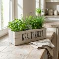 Vintage Blumenkasten Holz 35×11×15cm mit Griff Weiss Kräuterbeet Innenbereich | Floristik24.ch