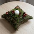 Pflanzkissen Reben Moos Pflanzschale Natur 20×20×6,5cm | Floristik24.ch