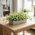 Schale eckig Grau 20cm x 10,5cm H5cm | Floristik24.ch