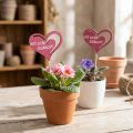 Blumenstecker Holz Herzform 7cm Pink Natur für DIY Deko 12 Stück | Floristik24.ch