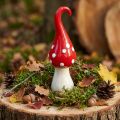 Deko-Fliegenpilz aus Keramik, Rot-Weiss, Ø6,5cm, H21cm, Herbst- und Weihnachtsdeko | Floristik24.ch