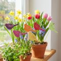 Frühlingsdeko Pflanzenstecker Holz Vogel 28cm Mehrfarbig 18 Stk | Floristik24.ch