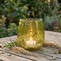 Windlicht Glas Vintage-Stil Gelbgrün Ø12cm H12,5cm | Floristik24.ch